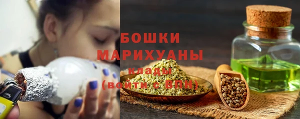 2c-b Лагань