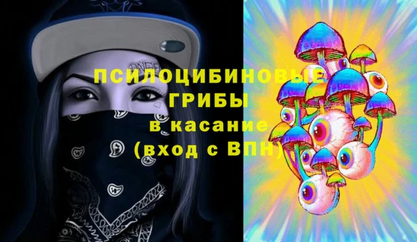 2c-b Лагань