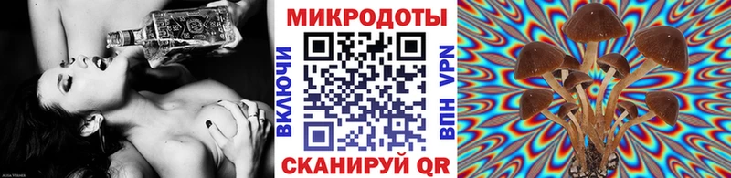Галлюциногенные грибы Psilocybe  Купить где  Кирс 